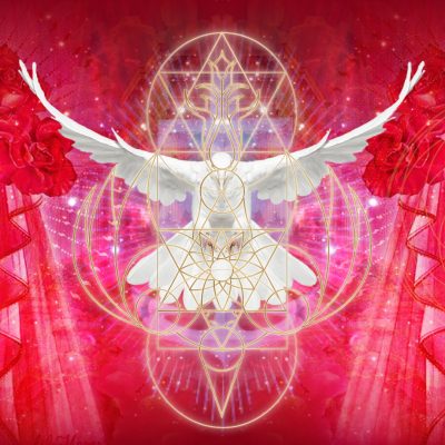 Red Rose R-Evolution - An Initiation with Mary Magdalene Red Rose R-Evolution - Initiation with Mary Magdalene