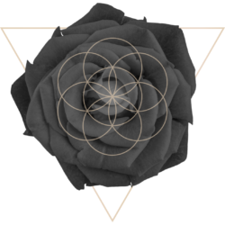 Rose Grail Rites For Women