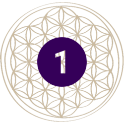 Kundalini Dance Priestess Training Full Certification Structure