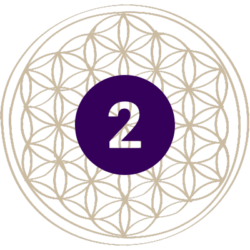 Kundalini Dance Priestess Training Full Certification Structure